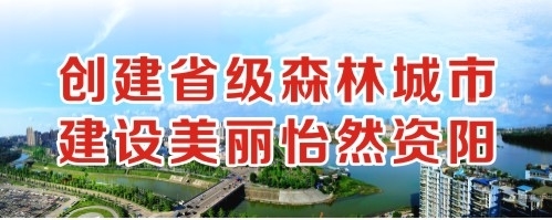 啊啊啊不行了受不了太大了操死骚逼视频创建省级森林城市 建设美丽怡然资阳