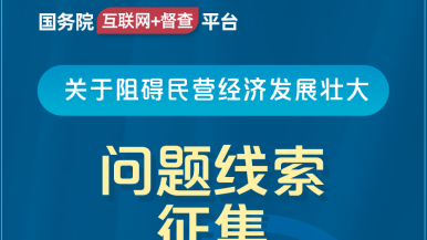 啊啊大鸡吧艹逼视频国务院“互联网+督查”平台公开征集阻碍民营经济发展壮大问题线索